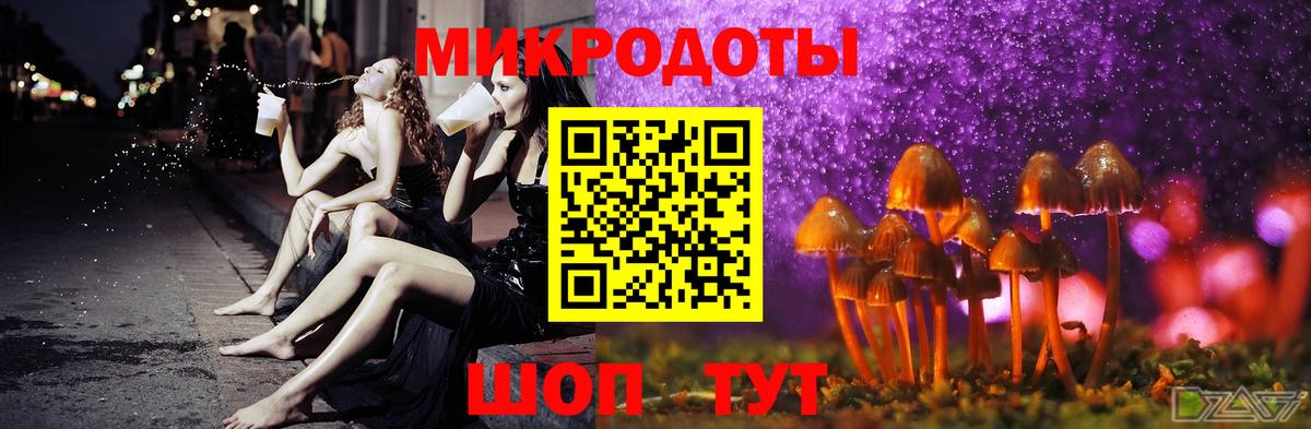 Североуральск  купить закладку  Вход с VPN  Галлюциногенные грибы Cubensis  Галлюциногенные грибы мицелий 