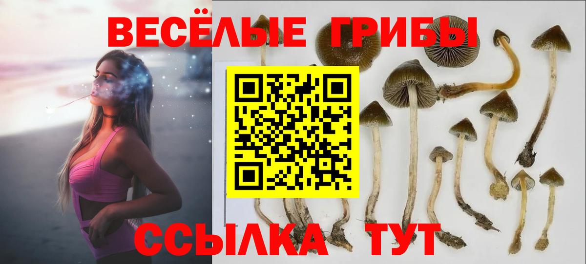 Галлюциногенные грибы GOLDEN TEACHER Североуральск